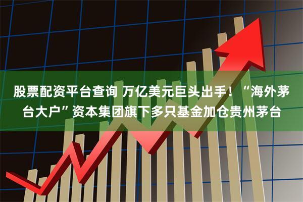 股票配资平台查询 万亿美元巨头出手！“海外茅台大户”资本集团旗下多只基金加仓贵州茅台
